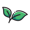grocery-store-lite.pages.dev favicon